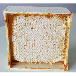 Miel en rayon